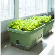 대형 화분 플라스틱 텃밭 상추 수경재배 대파 키우기, 텃밭화분_그린