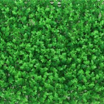 마당 인조 테라스 옥상 시공 카페트 주차장잔디블럭