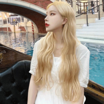 Prosekor 웨이브 롱헤어 인모 전체가발 아이돌가발 금발/흑발 8색상, 다크브라운