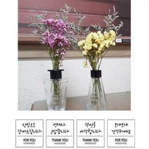 메세지 8종 투명 스티커, 3장(24개)700원