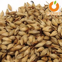 보리차 1200g 볶은 맥아차 국산 효능, 맥아(보리)1200g