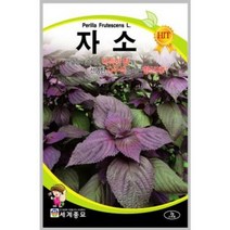 자소 2g / 깻잎 씨앗 종자 쌈채소 텃밭키우기 채소키우기