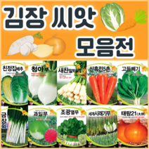 김장 채소 씨앗 모음 / 배추 무 당근 알타리 갓 엇갈이 양파 종자 씨, 37. 얼청갓 30g
