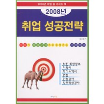 취업 성공전략 (2008), 하이비전, 김승용 저