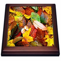 3dRose trv_1001_1 Fall Leaves Trivet with Ceramic Tile 8 by 8” Brown, 1