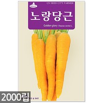 왜성적피 강낭콩 씨앗 30g - 콩씨 콩씨앗 씨 강낭콩씨 빨간강낭콩 붉은강낭콩씨앗 씨 강낭콩씨앗 주말농장 텃밭, 02_노랑당근(2000립)