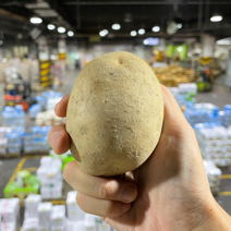 경매직송 감자 식자재용 대용량 20kg, 알뜰형, 80g이하(중)
