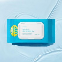 식물나라 제주탄산수퀵앤딥클렌징티슈 100매 (랜덤샘플증정), 100개, 100개