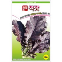 적갓 씨앗 10g 고유맛 시장 품종 맛 좋은 갓 김치 종자 다수확 기르기 쉬운 텃밭 채소 김장 농사