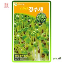 새싹경수채(교나)씨앗 12g / 30g 새싹채소씨앗 향좋은 쌈채소 비타민영양소풍부, 새싹경수채12g