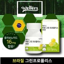 웰러스 브라질 그린프로폴리스 아연 60c 항산화 면역력, 사양벌꿀2박스, 2개, 60캡슐