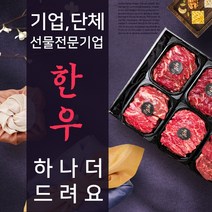 기업 단체 명품한우 선물세트, 고급형, 한우산적+한우장조림+한우양지