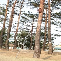 5미터 해루질장비 만능장대 뜰채 약초장비 장대봉 낚시뜰채 감따는장대 다용도장대 분봉 수초제거 벌잡이 닭잡이채 과일채취 두릅채취