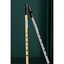 아이리쉬 휘슬 틴휘슬 페니휘슬 고급 프로연주용 C D, D톤- 풀 메탈