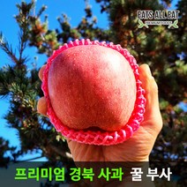 이츠올릿 경북 청송 부사 사과 5kg 못난이 중대과 13-15과 아침 껍질째 먹는 맛있는 햇 꿀사과