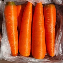 세척 당근 최상품 신선 carrot 5kg 10kg 이중 박스포장, 5kg (개당300g내외), 1box