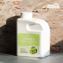 흥국 맘스 리얼베이스 청포도 샤인머스캣 1kg 에이드