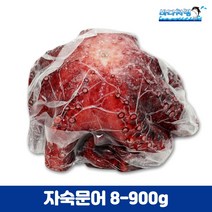 자숙문어 800/900g 필리핀 제수용 문어숙회 삶은문어
