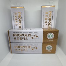 고기능성 웰빙 프로폴리스 치약 4개입, 4개