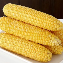 [미식한가] 제철의맛 그대로 냉동 초당옥수수 특품 (17-20cm), 냉동 초당옥수수 2팩(4개입)