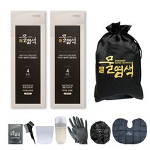 씨드비 물염색 시즌2 프리미엄 8회분(2박스) + 고급염색키트, 와인브라운