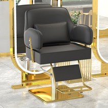 바버샵의자 이발소의자 럭셔리 회전 안락 의자 미적 스타일링 전문 이발 살롱 트리트먼트 세디아 기레 가구 LJ50BC, 14.Stainless steel