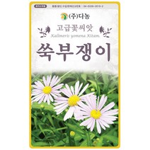 꽃향유 2000립 - 야생화 씨앗 꽃씨 씨 꽃씨앗 꽃향유씨앗 꽃향유씨 다년생꽃씨 여러해살이 야생화씨 야생화씨앗 꽃 해주향유 붉은향유, 32_다농_쑥부쟁이(1.5g)