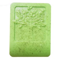 [미소그린]사뽀넷따 알로에 코코넛 바오밥 숙성비누100g, 1개