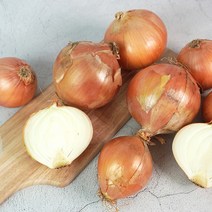 [더조은푸드] 전남 무안 속이꽉찬 햇 양파 5kg, 속이꽉찬 양파(소) 5kg