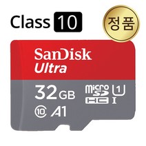 샌디스크 블랙박스 메모리 SD카드 아이나비 FXD900 마하, 32GB
