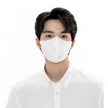 무직타이거 KF94 마스크 화이트 대형 25매입 1개