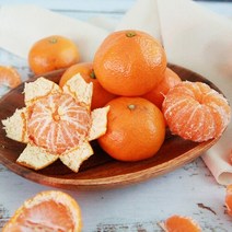 산지직송 [제주시농협] 제주감귤 조생감귤 5kg (L~2L), 단품없음