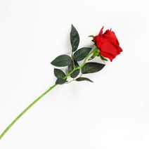 생활살림 인테리어 및 촬영소품 인조 조화 나무 꽃 장식, 인테리어 나뭇잎 Red rose
