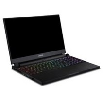 기가바이트 2021 AORUS 15P 15.6, 블랙, 코어i7 11세대, 1024GB, 32GB, WIN10 Home, AORUS 15P XD Win 10