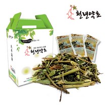 제주도 자연산 번행초 즙 차 1박스 60팩, 110mlX60팩