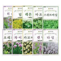 [모종가게] 허브씨앗 / 씨앗 모음 딜 히솝 바질 스위트바질, 딜씨앗