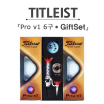 브라더스골프 타이틀리스트 Pro V1 6구 골프공 자석티마커 선물세트, FREE