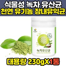 청소년 성장기 영유아 식물성 천연 녹차 유산균 230g 발효 효소 김치 락토바실러스 플란타룸 비피더스균 프리바이오틱스 프락토올리고당 추천