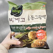 비비고 도톰동그랑땡 795g, 아이스보냉백포장