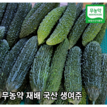 [국내산/국산] 햇 생여주 아삭아삭한 여주 1kg 5kg 산지직송 생 햇여주 당일수확 고야 비터메론 유기농 쓴오이 못난이 오이 못난이오이 건여주 건조여주, 생여주 5kg