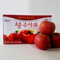 충주사과 부사사과 충주샘골농원, 1박스, 5kg 대과 [15~16개]