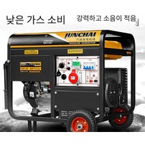 오후의쉼터 자가발전기 비상 발전기 파워뱅크 소형, 4000W수동시동손전등220V(다중연료모델)