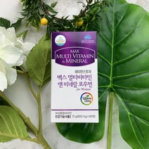 비타민스토리 맥스멀티비타민앤미네랄 포우먼 90정x2통, 144g