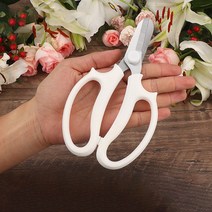 레인보우 플라워 아트 꽃꽂이 원예 가위 화이트, 1개
