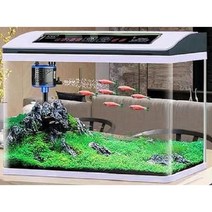 무환수어항 베타어항 수족관 구피 거북이 가정용 미니 물고기, T. M1000 조경 버전 + 온도 표시 타이밍 + 8