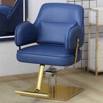 바버샵의자 이발소의자 럭셔리 회전 안락 의자 미적 스타일링 전문 이발 살롱 트리트먼트 세디아 기레 가구 LJ50BC, 13.Stainless steel