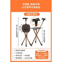 지팡이 의자 목발의자 등산 산책 노인 실버용품 좌석, G