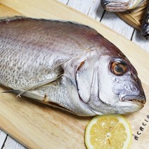 승원식품점 [바다의행복] 국내산 반건조 참돔 (중) 1팩