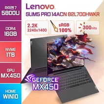 레노버 아이디어패드 Slim5 Pro 14ACN 라이젠7 MX450 온라인수업 주식 게임 고성능 영상편집용 저가 업무용 학생 가성비 노트북, 82L700HWKR, WIN10 Home, 16GB, 1TB, 스톰 그레이