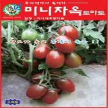 AR 미니자옥 토마토(대추 토마토) 씨앗 70립, 상세페이지 참조